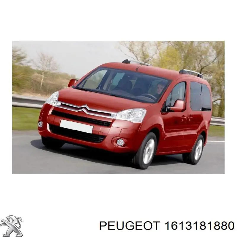  Peugeot/Citroen 1613181880 precio, desde 45,94 EUR
