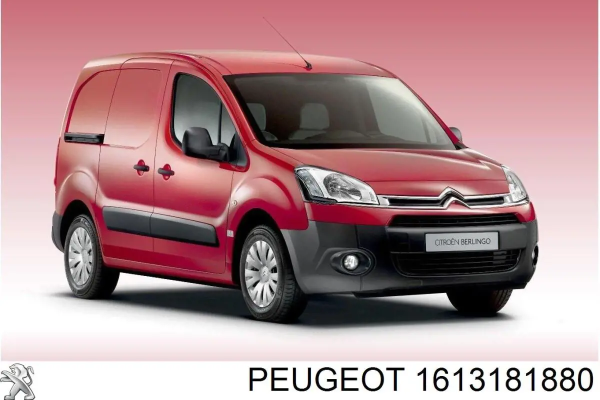 1613181880 Peugeot/Citroen 