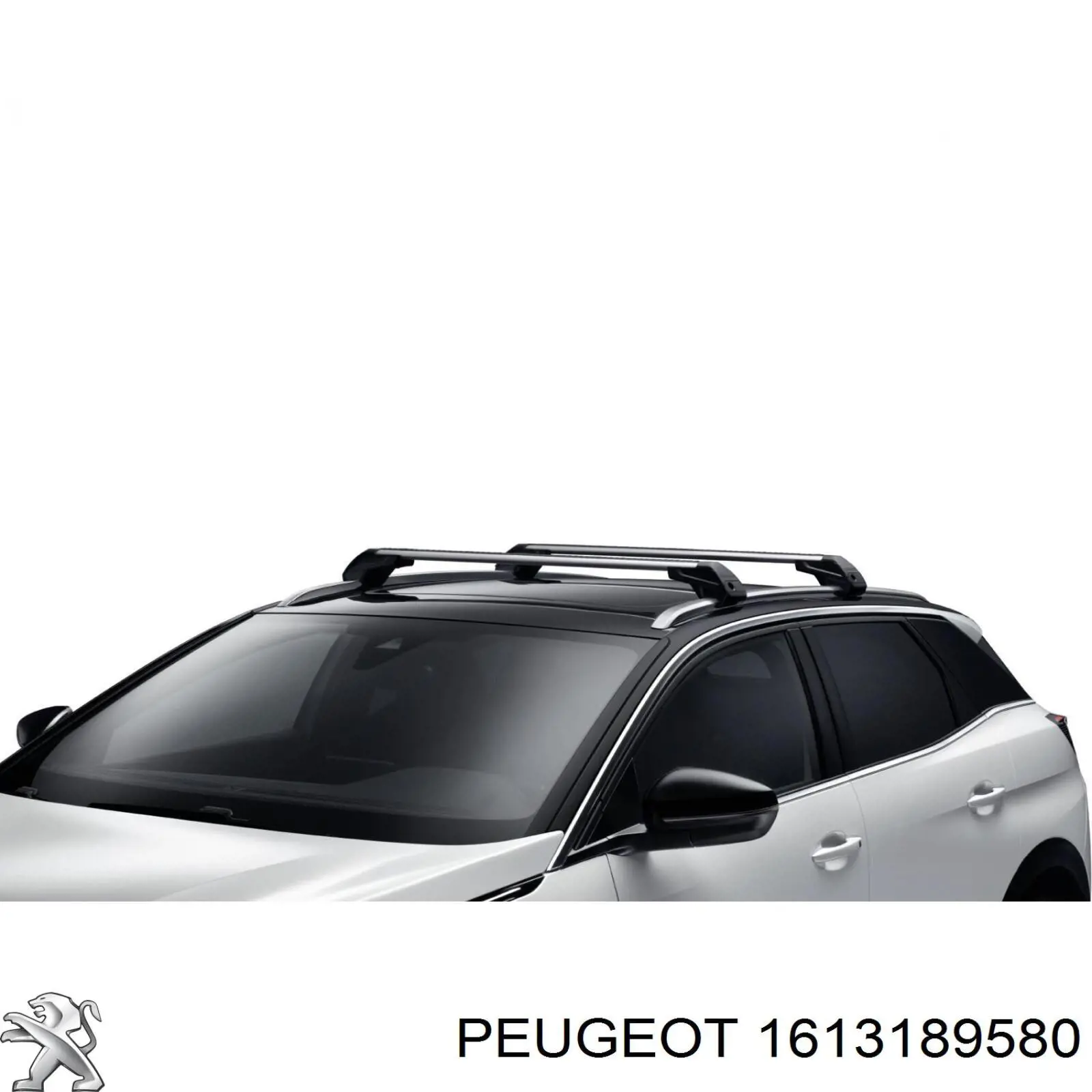 1613189580 Peugeot/Citroen Juego de rieles de techo