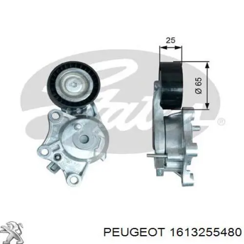 1613255480 Peugeot/Citroen Tensor de correa de alternador
