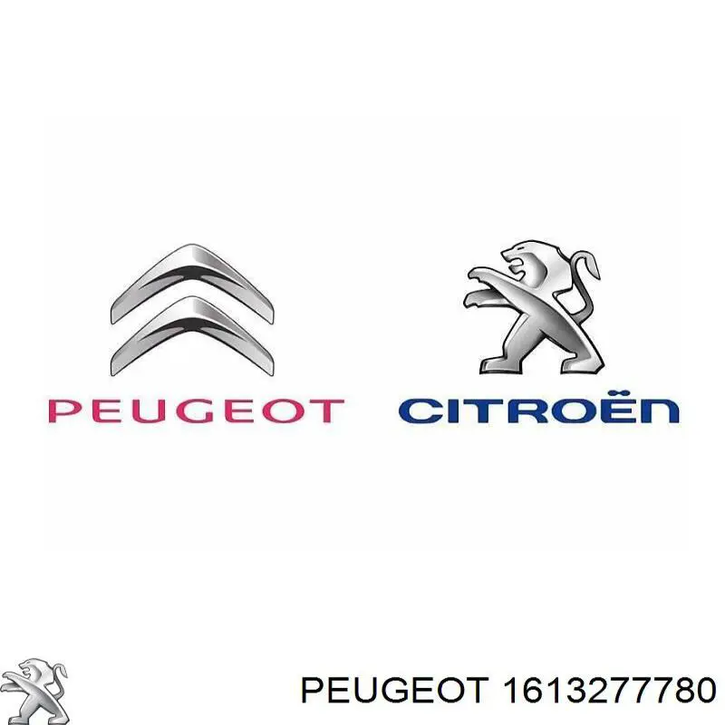 1613277780 Peugeot/Citroen Moldura de puerta del maletero (puerta trasera 3/5)