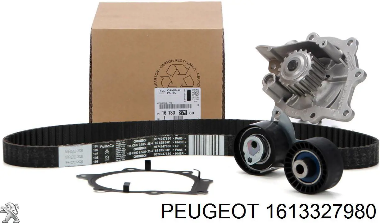 Juego de correas dentadas Peugeot/Citroen 1613327980 precio, desde 103,59 EUR