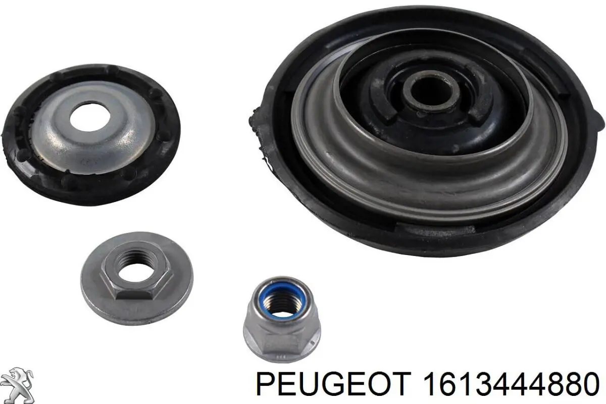 Correa de transmisión Peugeot/Citroen 1613444880