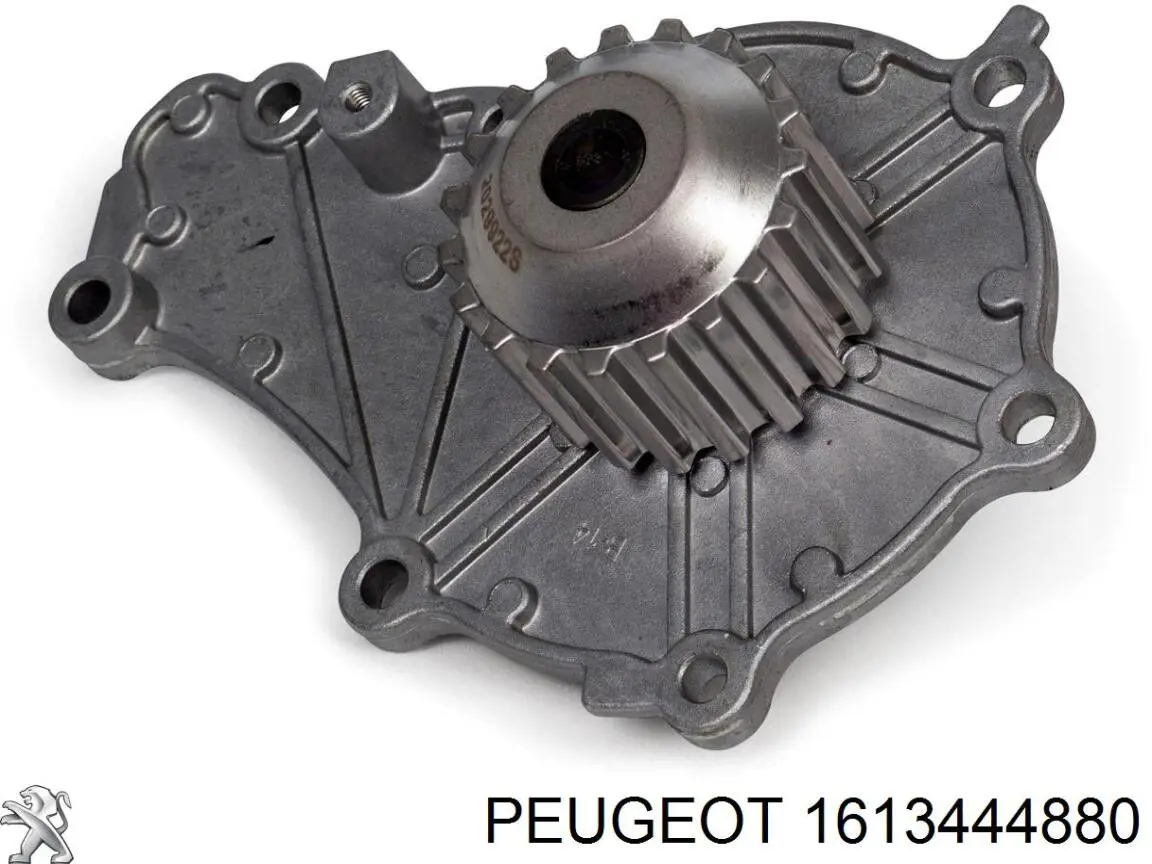 Correa de transmisión 1613444880 Peugeot/Citroen