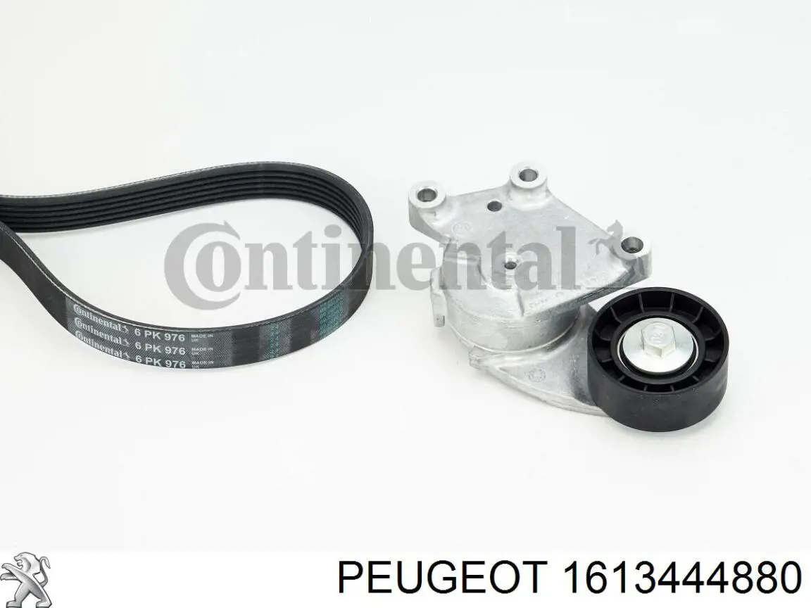 1613444880 Peugeot/Citroen Correa de transmisión, completo