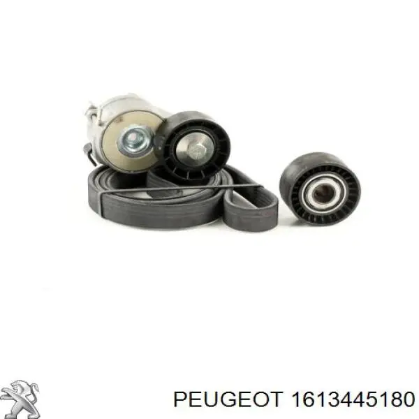 Comprar 1613445180 Peugeot/Citroen Correa de transmisión