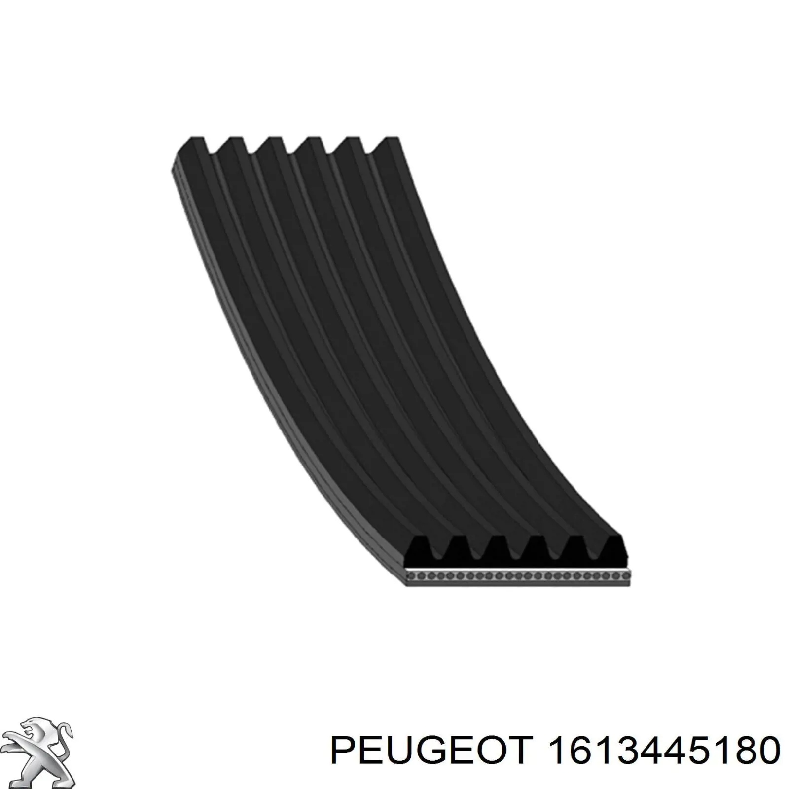 1613445180 Peugeot/Citroen Correa de transmisión, completo