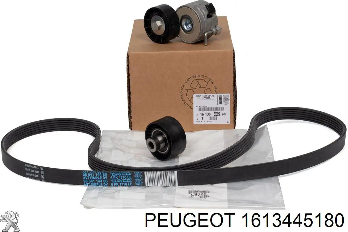 Correa de transmisión 1613445180 Peugeot/Citroen