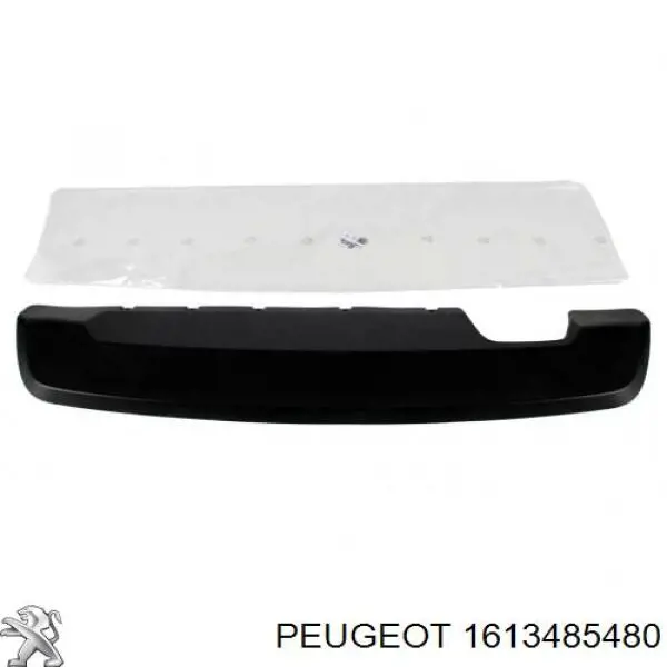  1613485480 Peugeot/Citroen
