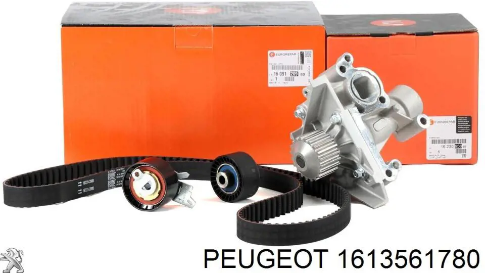 Juego de correas dentadas Peugeot/Citroen 1613561780 precio, desde 112,97 EUR