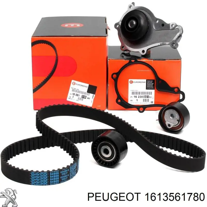 Comprar 1613561780 Peugeot/Citroen Kit de correa de distribución