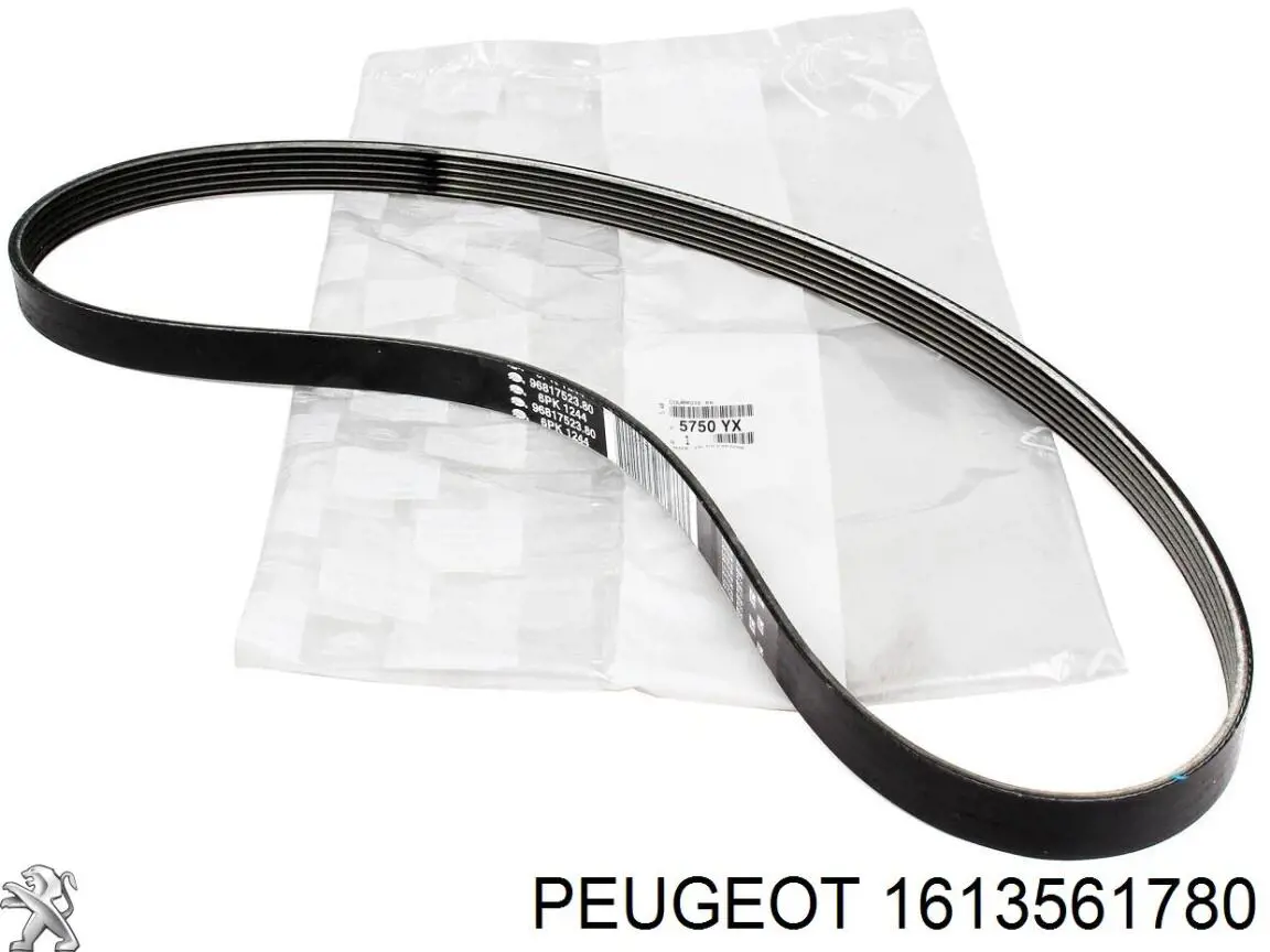 Kit de distribución 1613561780 Peugeot/Citroen