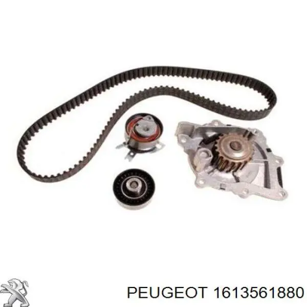 1613561880 Peugeot/Citroen Kit correa de distribución