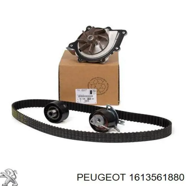 Comprar 1613561880 Peugeot/Citroen Kit de correa de distribución