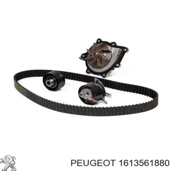 1613561880 Peugeot/Citroen kit de correa de distribución