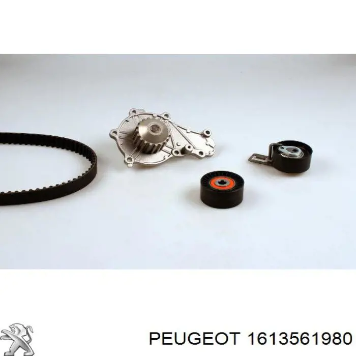 Juego de correas dentadas Peugeot/Citroen 1613561980 precio, desde 110,88 EUR
