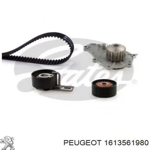 Comprar 1613561980 Peugeot/Citroen Kit de correa de distribución