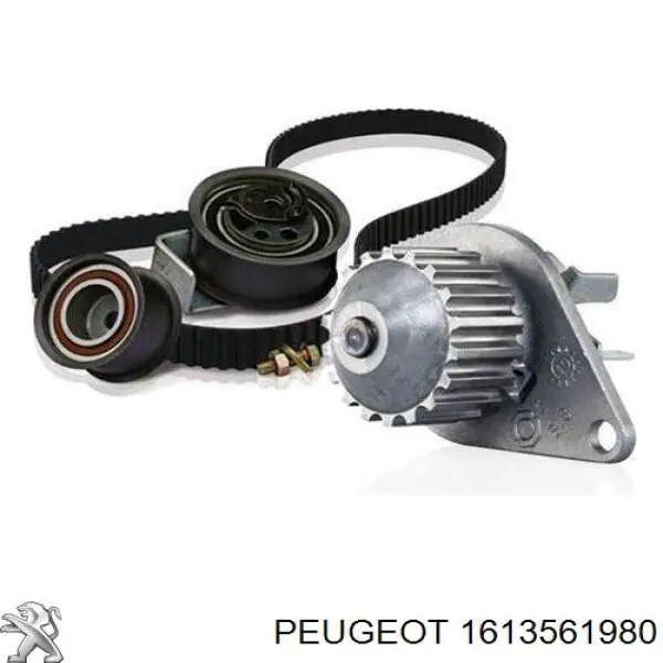 1613561980 Peugeot/Citroen kit de correa de distribución