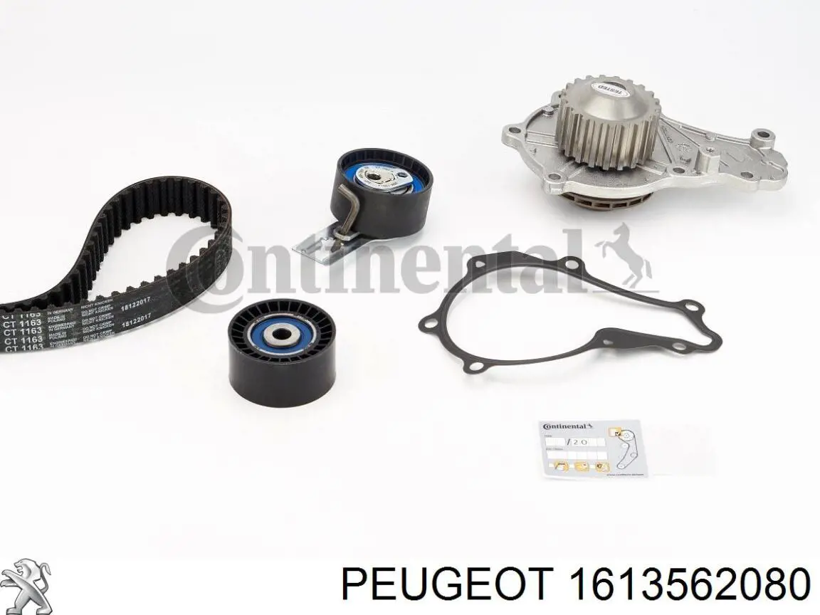 1613562080 Peugeot/Citroen kit de correa de distribución