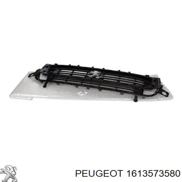 1613573580 Peugeot/Citroen Calandra