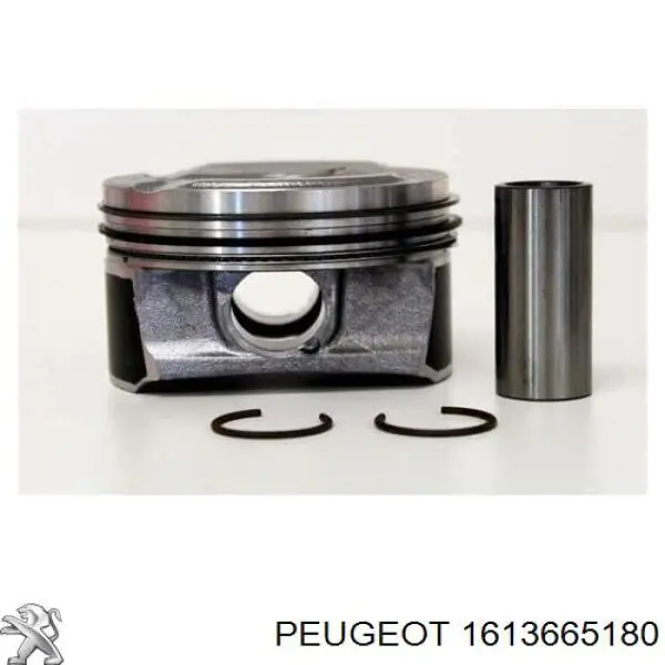 Pistón completo para 1 cilindro, STD para Peugeot 508 (FC, FJ, F4)