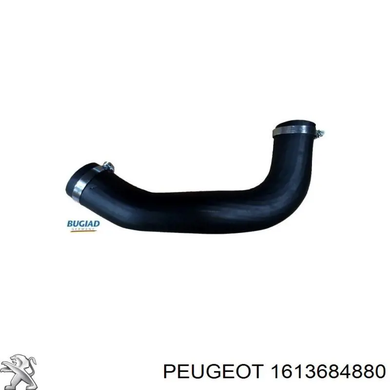 Comprar 0382QS Peugeot/Citroen Tubo intercooler