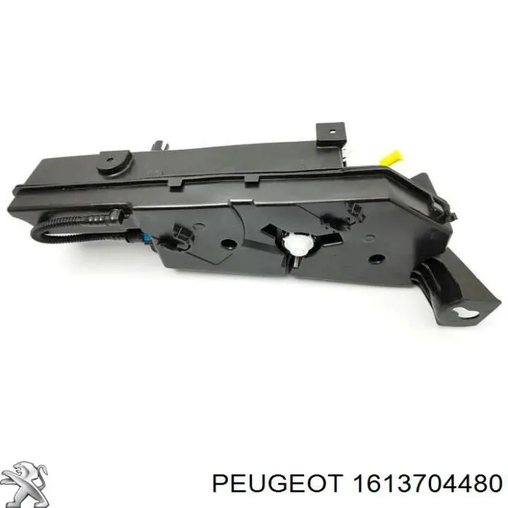 1613704480 Peugeot/Citroen