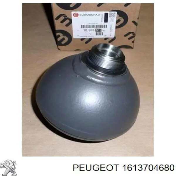 1613704680 Peugeot/Citroen