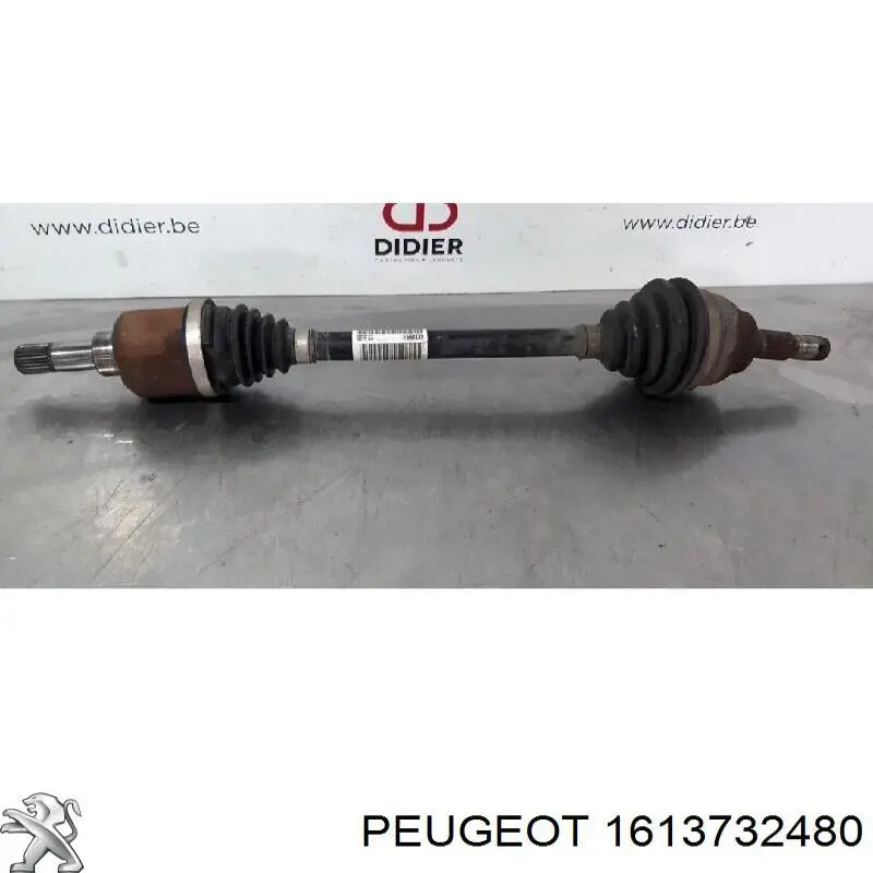 1613732480 Peugeot/Citroen