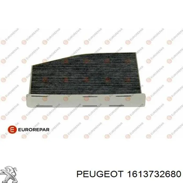 1613732680 Peugeot/Citroen Filtro antipolen