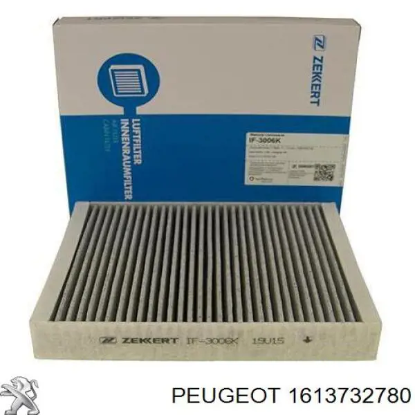1613732780 Peugeot/Citroen Filtro antipolen