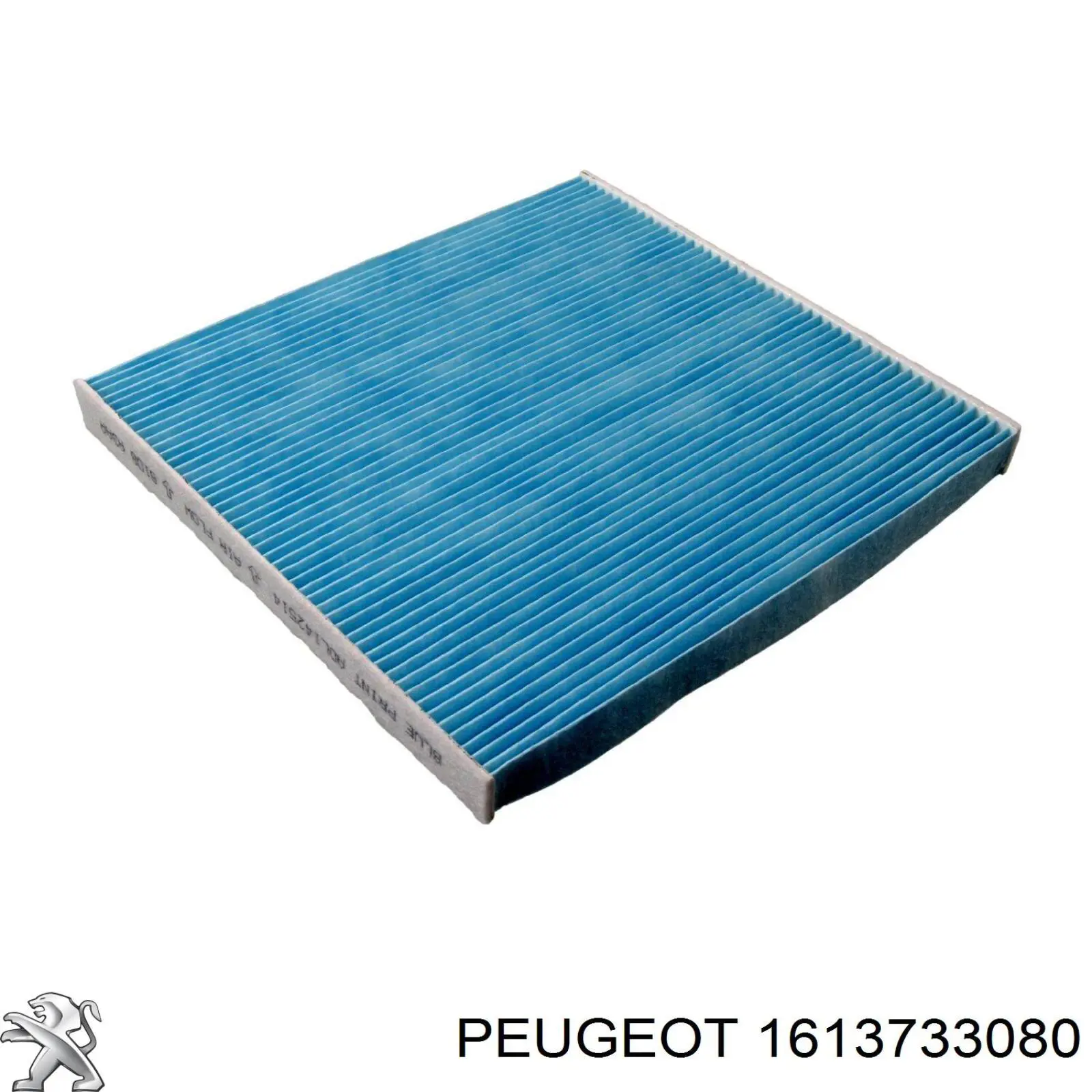 1613733080 Peugeot/Citroen filtro habitáculo