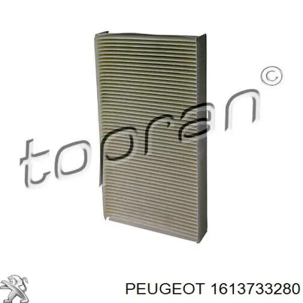 1613733280 Peugeot/Citroen filtro habitáculo