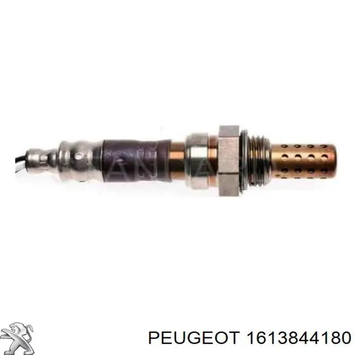 1613844180 Peugeot/Citroen correa de transmision, juego completo