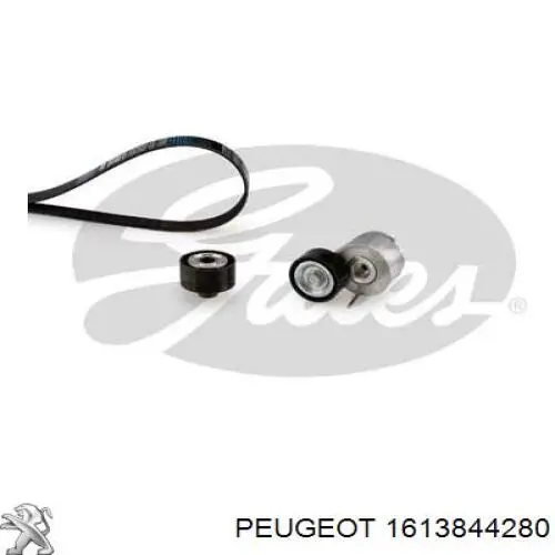 Correa de transmisión, juego Peugeot/Citroen 1613844280 precio, desde 84,08 EUR