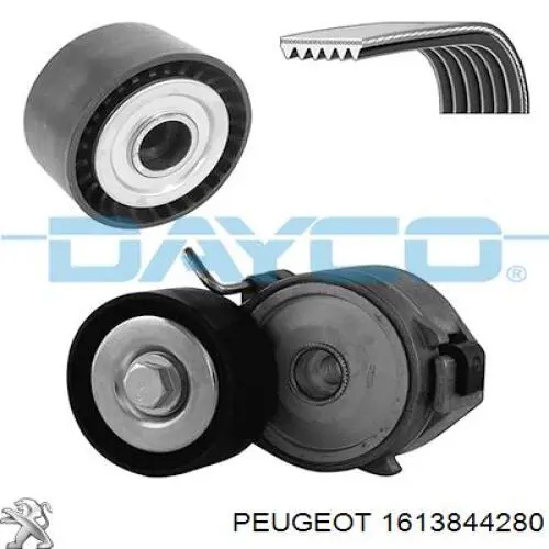 Correa de transmisión 1613844280 Peugeot/Citroen