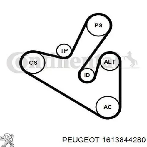 Comprar 1613844280 Peugeot/Citroen Correa de transmisión