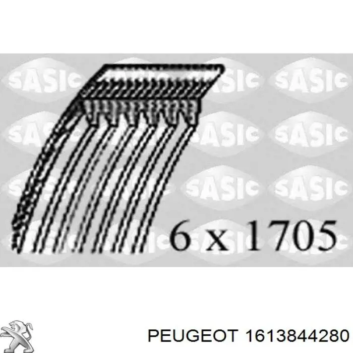 1613844280 Peugeot/Citroen Correa de transmisión, completo