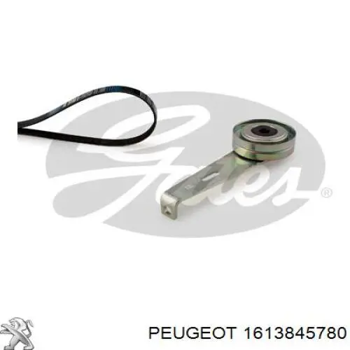 Correa de transmisión, juego Peugeot/Citroen 1613845780 precio, desde 83,00 EUR