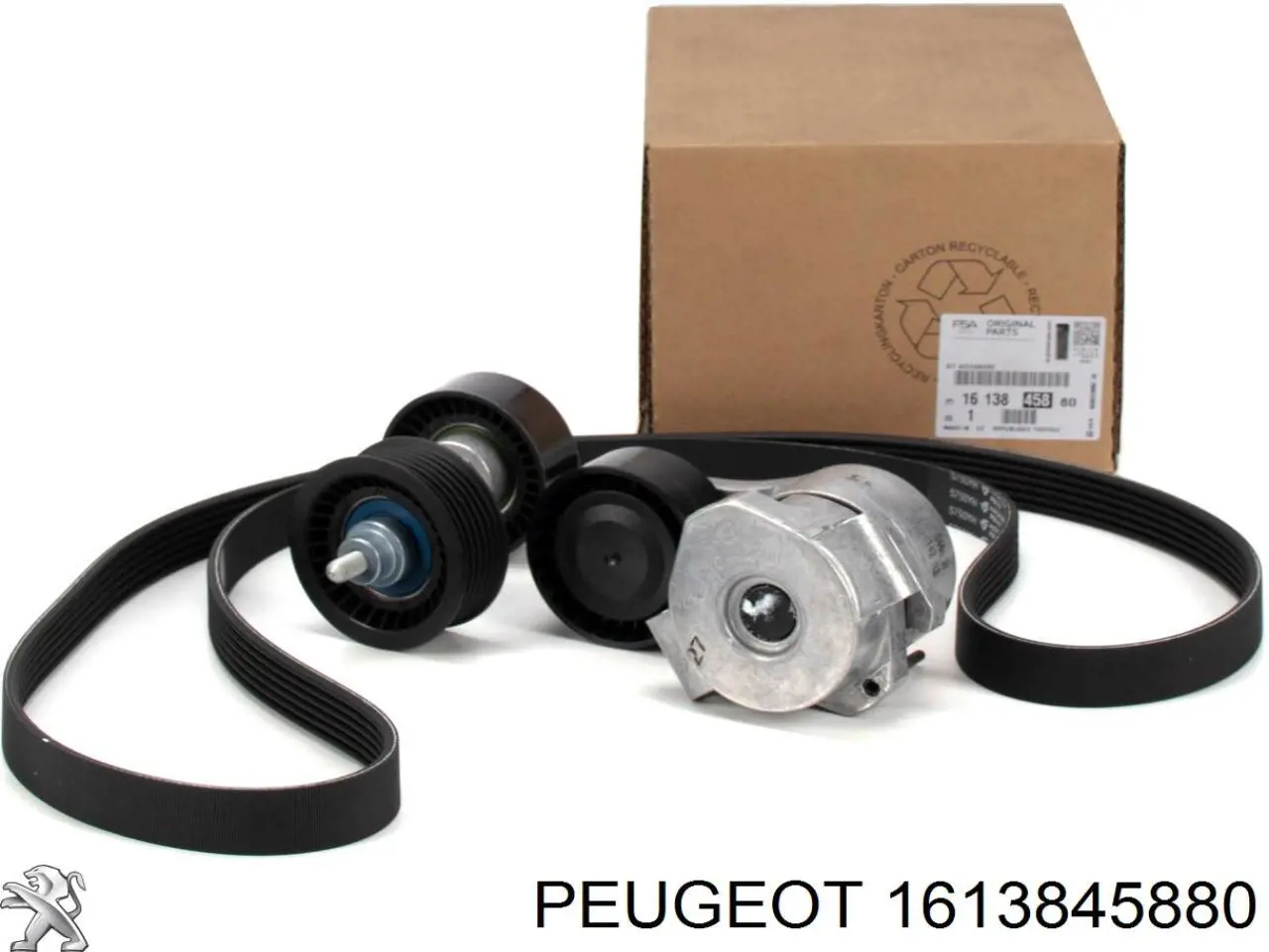 Comprar 1613845880 Peugeot/Citroen Correa de transmisión