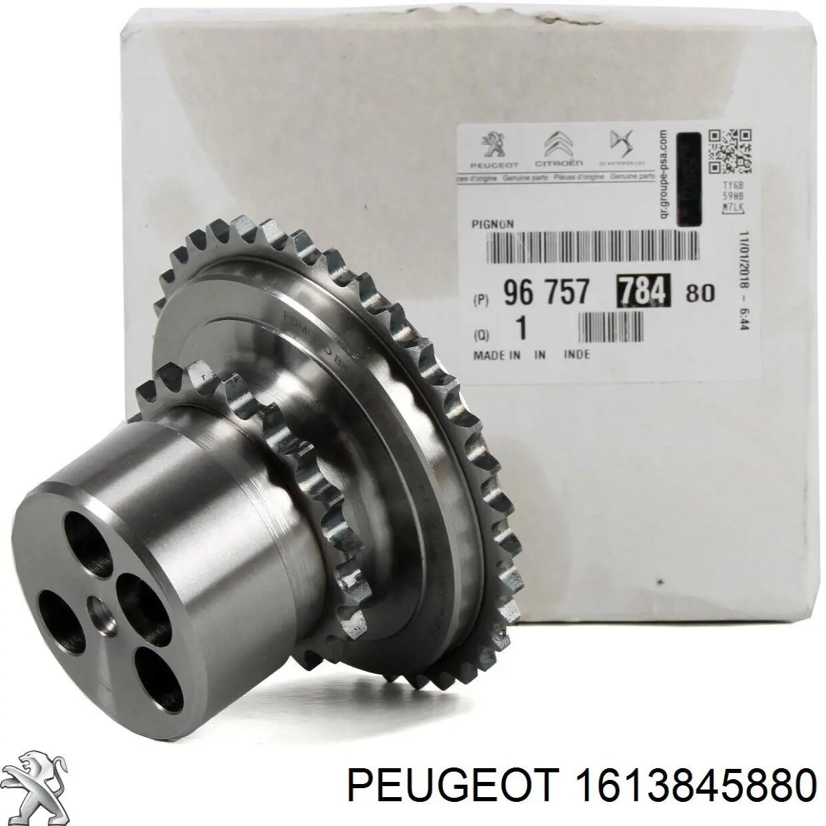 Correa de transmisión 1613845880 Peugeot/Citroen