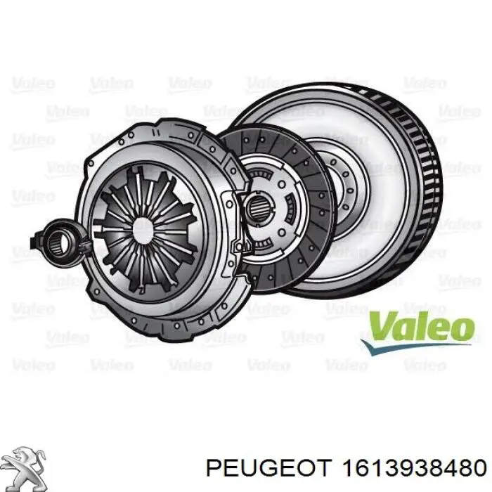  1613938480 Peugeot/Citroen