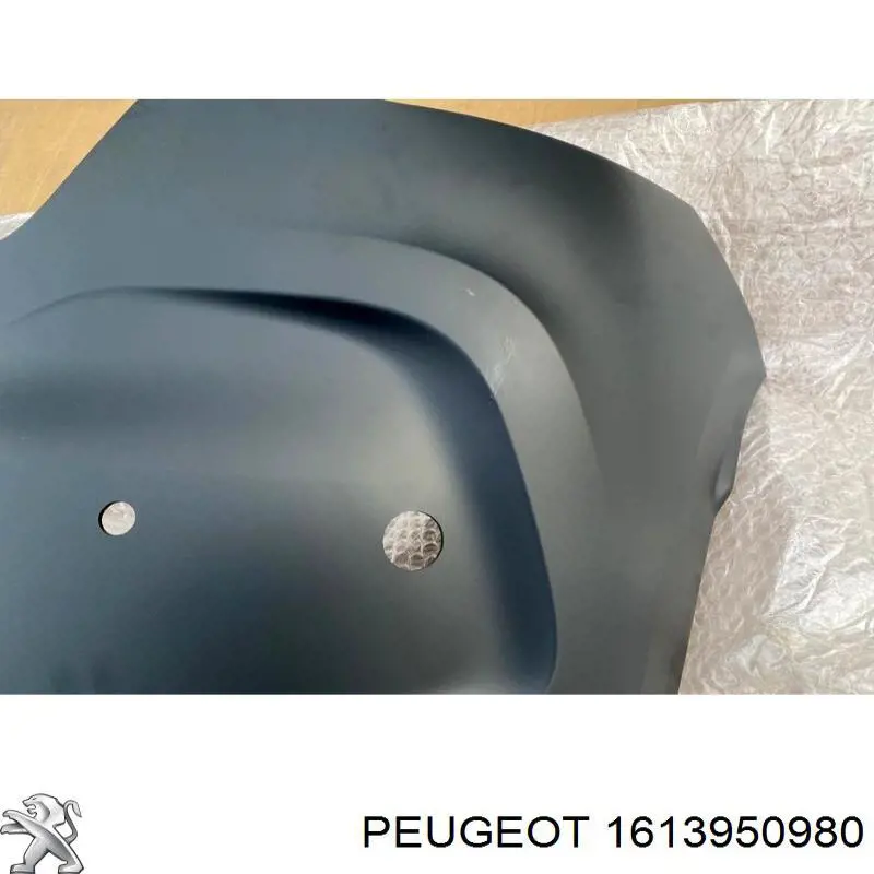Paragolpes Peugeot/Citroen 7410NT precio, desde 479,16 EUR