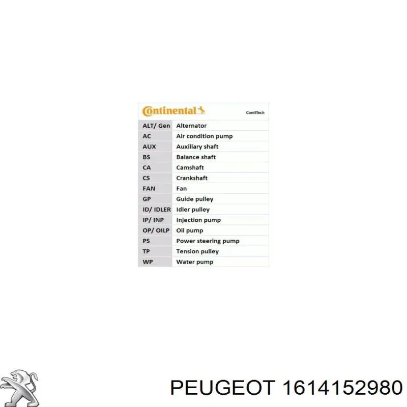 1614152980 Peugeot/Citroen correa distribucion