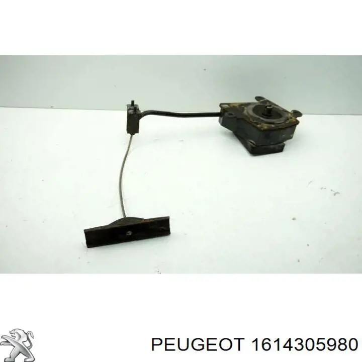 Cabrestante de rueda de repuesto Peugeot/Citroen 1614305980 precio, desde 207,64 EUR