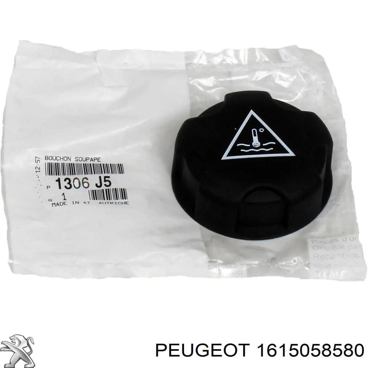  1615058580 Peugeot/Citroen