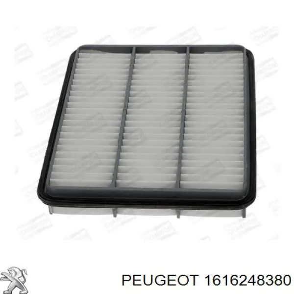 1616248380 Peugeot/Citroen filtro de aire