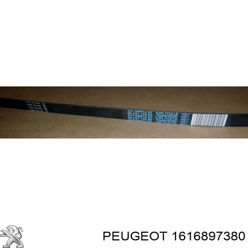 Tensor de correa poli V APV4355 Dayco