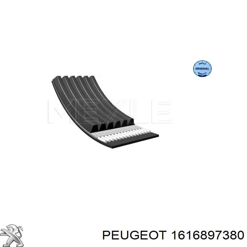Tensor de la correa trapecial poli v Dayco APV4355