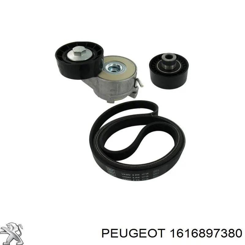 Tensor de la correa trapecial Dayco APV4355 precio, desde 79,86 EUR